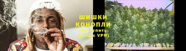 прущие грибы Нефтекумск