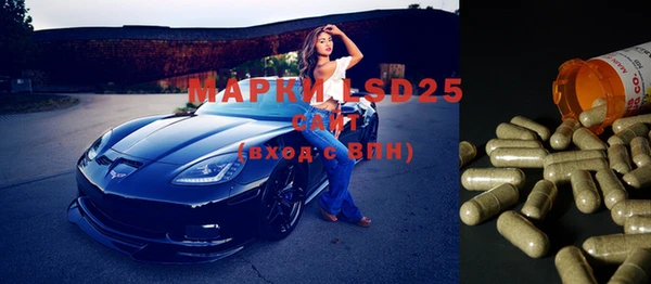 прущие грибы Нефтекумск