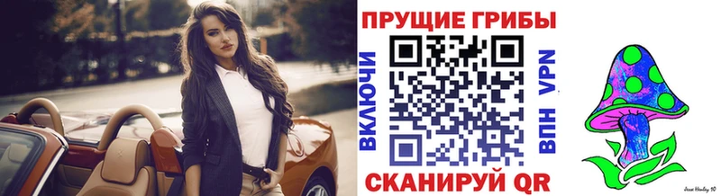 Купить закладки  Пойковский  Галлюциногенные грибы MAGIC MUSHROOMS 